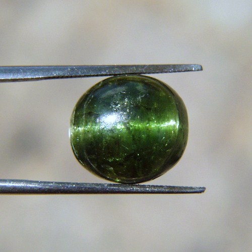 Big Sharp Cats Eye Green Tourmaline Brazil 12.55 ct  Litnon.com