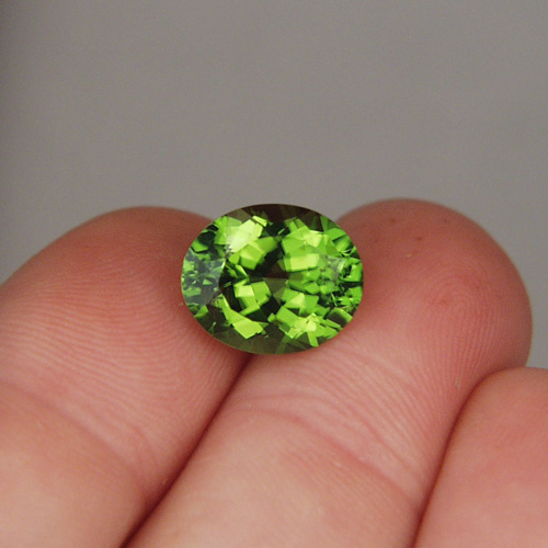 Big Top Gem Fine Color Pakistan Peridot 7.98ct  Litnon.com