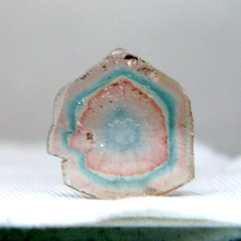 Rare colors Natural Tourmaline Slice Brazil  Litnon.com