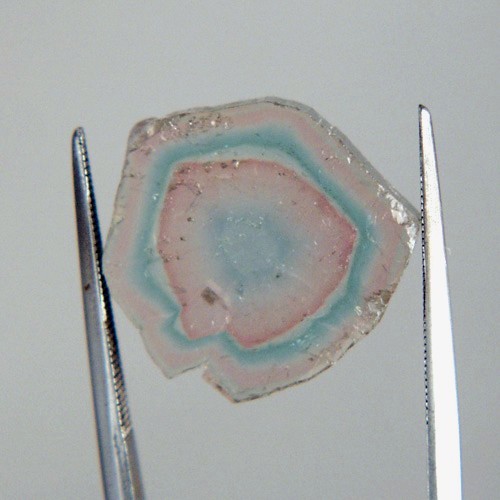 Rare colors Natural Tourmaline Slice Brazil  Litnon.com