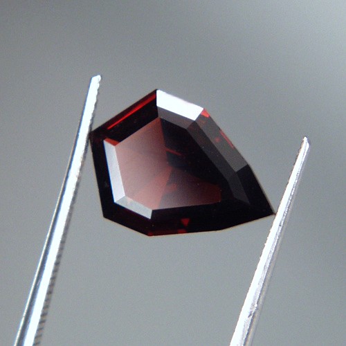 Free Shipping Fancy Cut Umba River Garnet 3.96 ct  Litnon.com