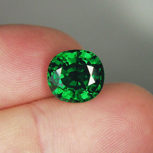 Gem Intense Chrome Green Tsavorite Kenya ~ Big~ 6.58ct  Litnon.com