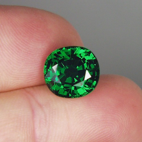 Gem Intense Chrome Green Tsavorite Kenya ~ Big~ 6.58ct  Litnon.com