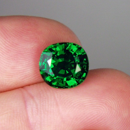 Gem Intense Chrome Green Tsavorite Kenya ~ Big~ 6.58ct  Litnon.com