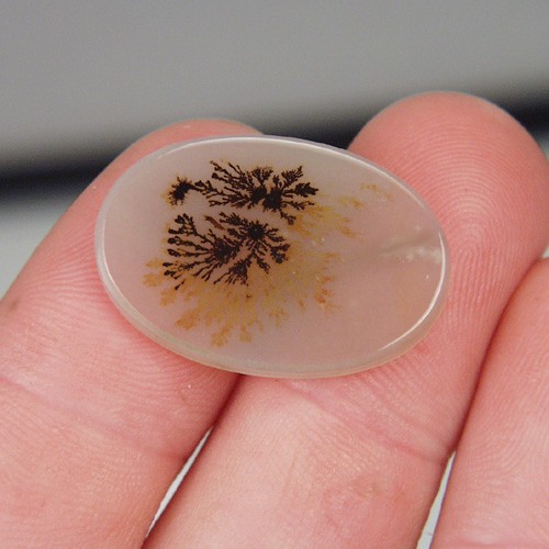   Rare and Fine Quality! Scenic Dendritic Agate!  Litnon.com
