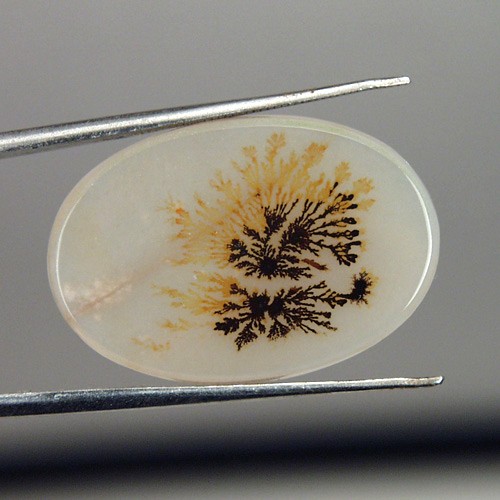   Rare and Fine Quality! Scenic Dendritic Agate!  Litnon.com
