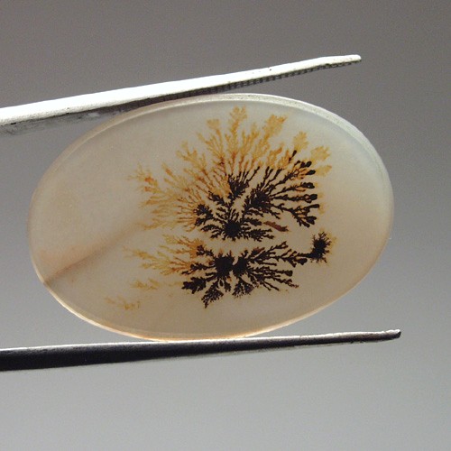   Rare and Fine Quality! Scenic Dendritic Agate!  Litnon.com