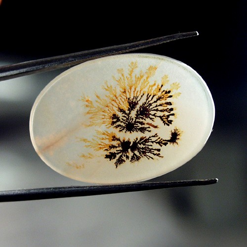   Rare and Fine Quality! Scenic Dendritic Agate!  Litnon.com