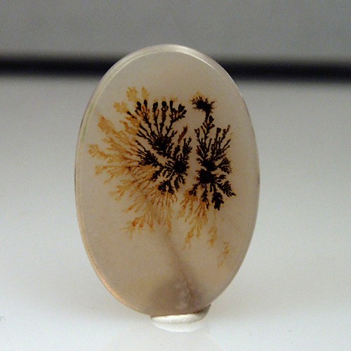   Rare and Fine Quality! Scenic Dendritic Agate!  Litnon.com