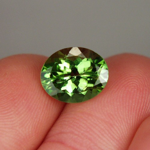 Gem Fine Cut and Color Pakistan Peridot 4.95 ct  Litnon.com