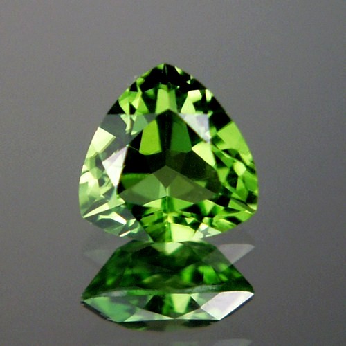 Top Gem Fine Cut and Color Pakistan Peridot 3.29 ct  Litnon.com