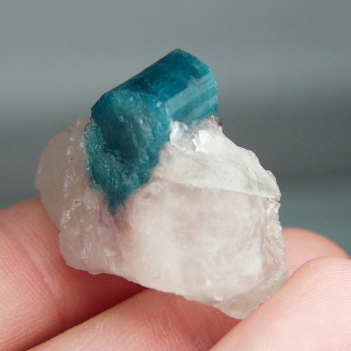 Collectors Natural Brazil Paraiba Tourmaline Specimen  Litnon.com