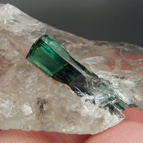 Collectors Natural Brazil Paraiba Tourmaline Specimen  Litnon.com