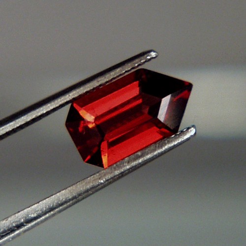 Fancy Cut Red Fire Crimson Color Umba River Garnet  Litnon.com