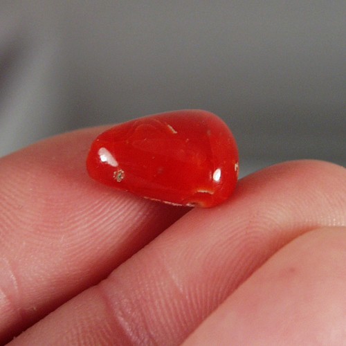 Rare Natural Ox Blood Coral Cab Italy 10.80 ct  Litnon.com