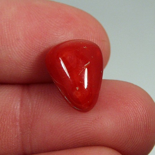 Rare Natural Ox Blood Coral Cab Italy 10.80 ct  Litnon.com