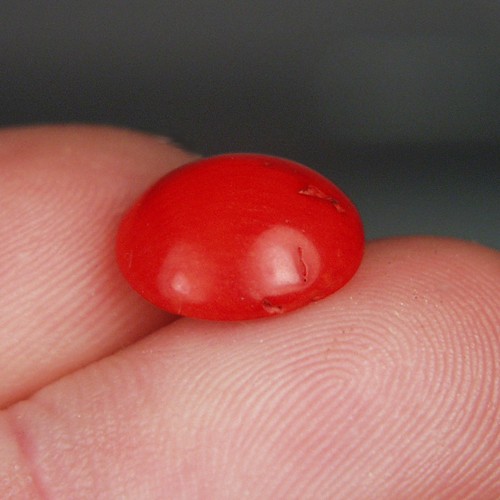 Rare Natural Ox Blood Coral Cab Italy 5.33 ct  Litnon.com