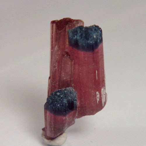 Collectors Tourmaline Crystal Specimen Afghanistan  Litnon.com