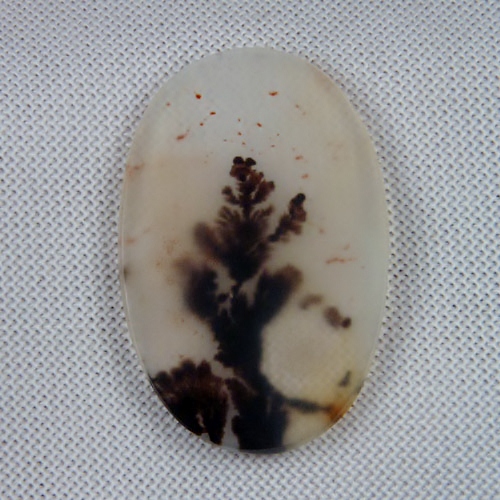   Rare and Fine Quality! Scenic Dendritic Agate!  Litnon.com