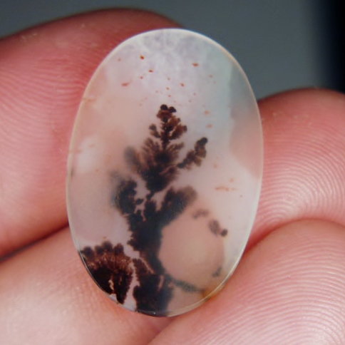   Rare and Fine Quality! Scenic Dendritic Agate!  Litnon.com