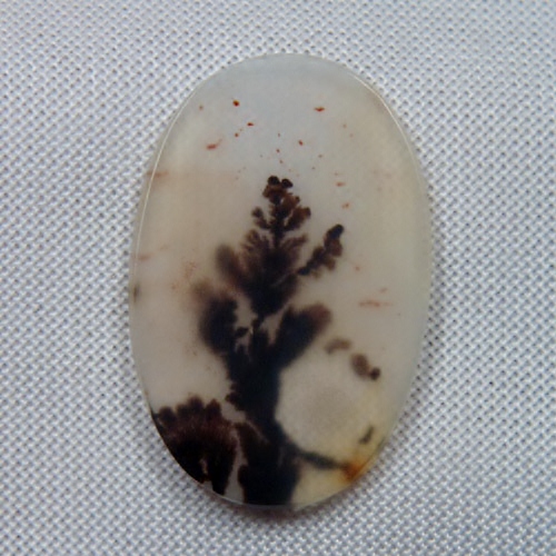   Rare and Fine Quality! Scenic Dendritic Agate!  Litnon.com