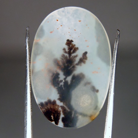   Rare and Fine Quality! Scenic Dendritic Agate!  Litnon.com