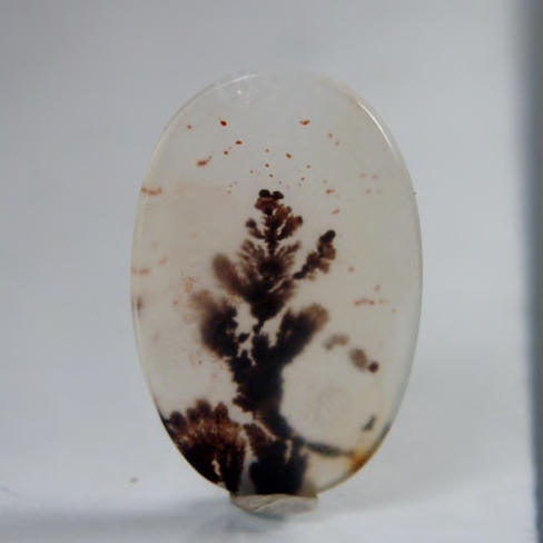   Rare and Fine Quality! Scenic Dendritic Agate!  Litnon.com