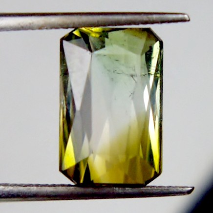 Bi-Color Tourmaline Afghanistan 3.78 ct  Litnon.com