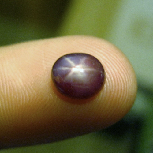 Unheated Natural Tanzanian Star Ruby 1.95 ct  Litnon.com
