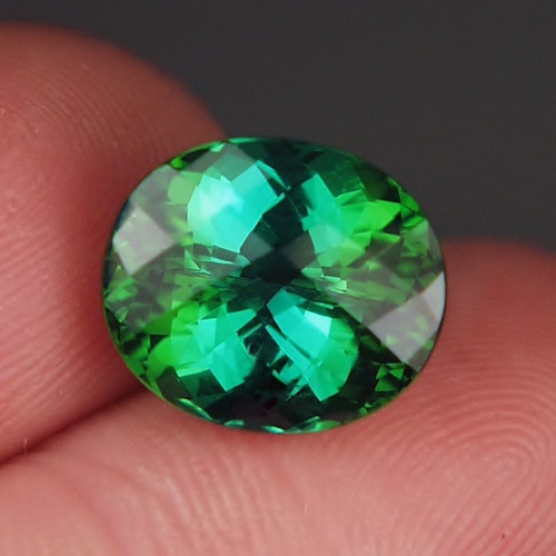 Fine Color and Cut Kelly Green Tourmaline Brazil 8.48 ct  Litnon.com