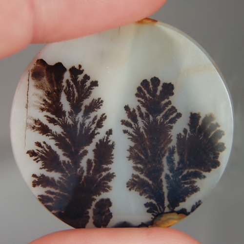   Big & Rare!  Fine Quality Scenic Dendritic Agate India  Litnon.com