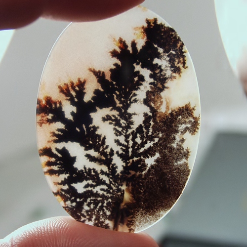   Big & Rare!  Fine Quality Scenic Dendritic Agate India  Litnon.com