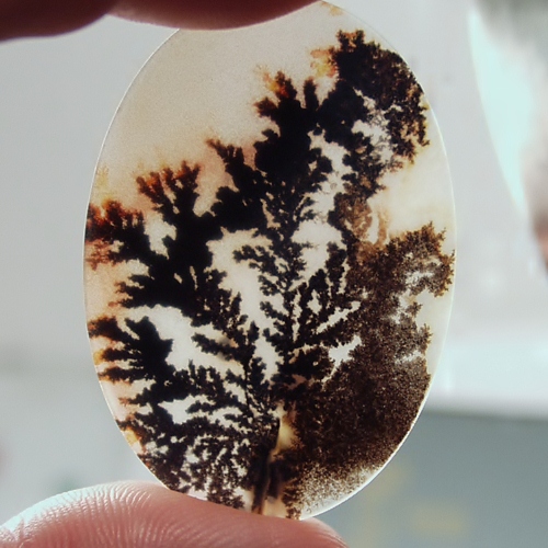   Big & Rare!  Fine Quality Scenic Dendritic Agate India  Litnon.com