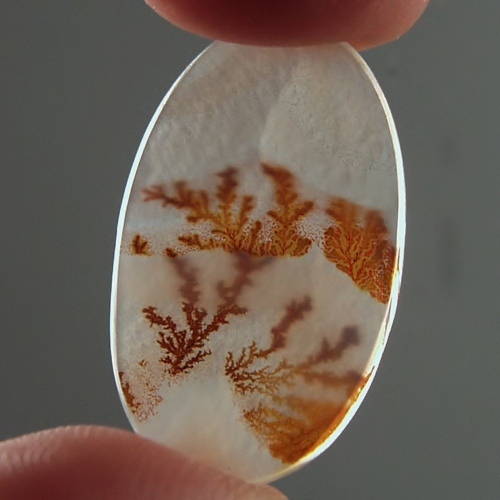 Smokey Blaze Dendritic Agate Gem Stone Litnon.com