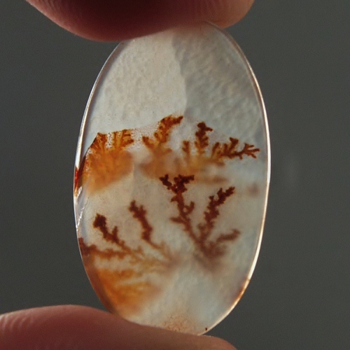 Smokey Blaze Dendritic Agate Gem Stone Litnon.com