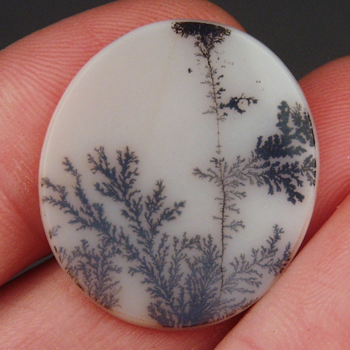   Rare and Fine Quality! Scenic Dendritic Agate!  Litnon.com