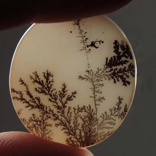   Rare and Fine Quality! Scenic Dendritic Agate!  Litnon.com