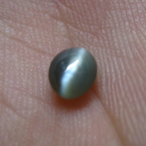 Rare Sharp Cats Eye Chrysoberyl Cabochon 0.80 carats Litnon.com