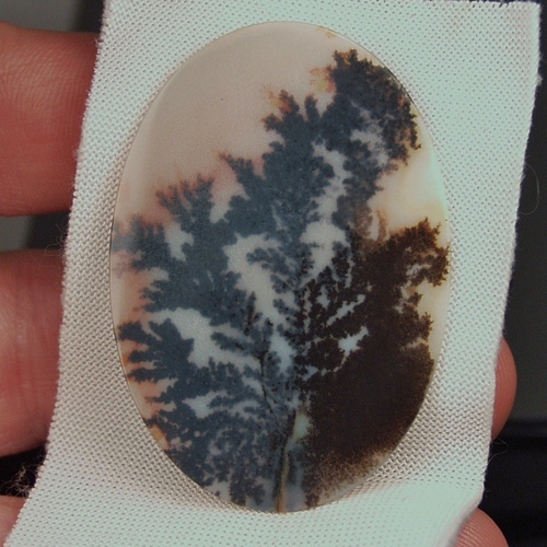   Big & Rare!  Fine Quality Scenic Dendritic Agate India  Litnon.com