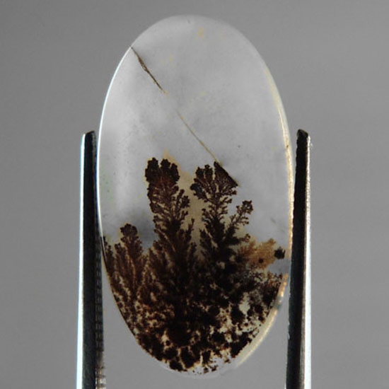   Rare and Fine Quality! Scenic Dendritic Agate!  Litnon.com