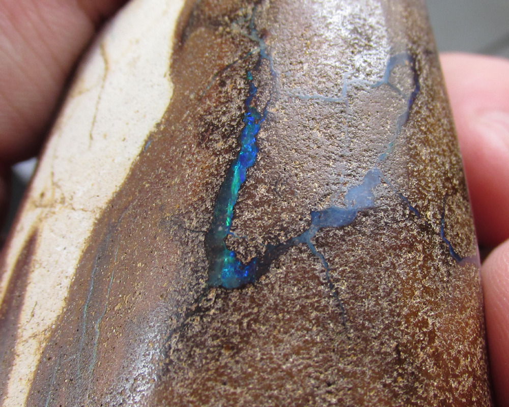  Big! Queensland Boulder Opal Specimen - Rough 200 grams  Litnon.com