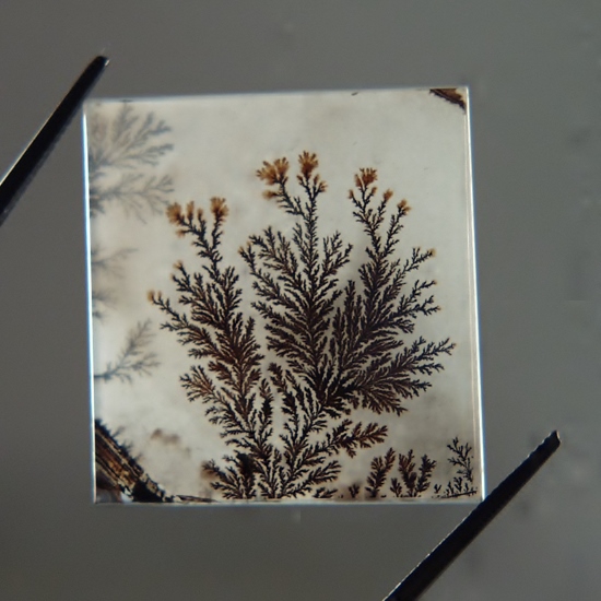   Superb Quality!  Natural Scenic Dendritic Agate India  Litnon.com