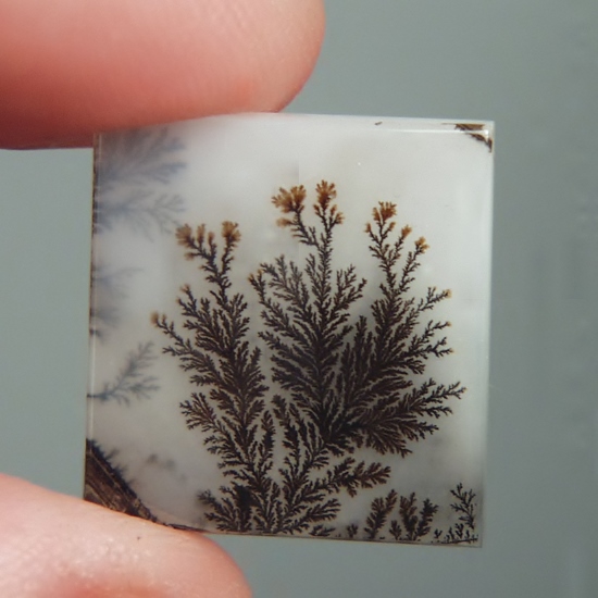  Superb Quality!  Natural Scenic Dendritic Agate India  Litnon.com