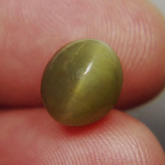 Unique Rare Cats Eye Green Quartz Cab Brazil 5.83 ct  Litnon.com