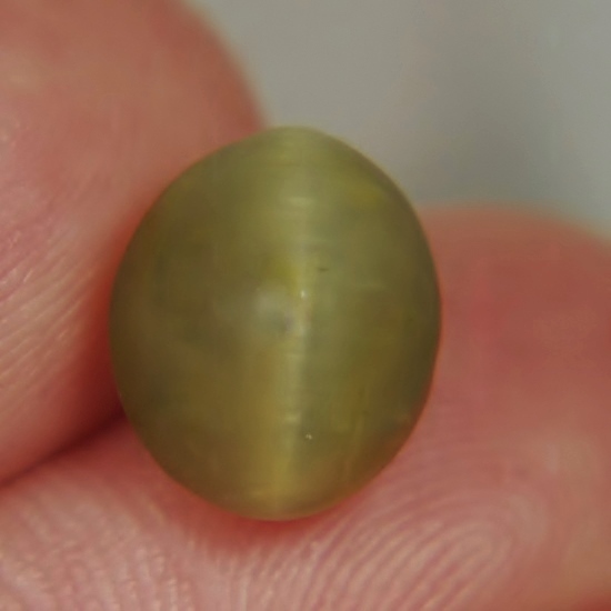Unique Rare Cats Eye Green Quartz Cab Brazil 5.83 ct  Litnon.com