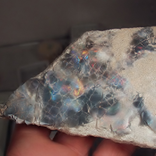 Cabinet Size Colorful Queensland Black Opal Matrix Specimen  Litnon.com