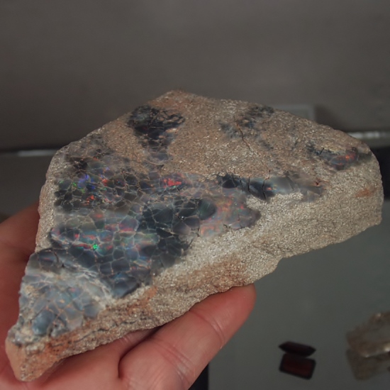 Cabinet Size Colorful Queensland Black Opal Matrix Specimen  Litnon.com