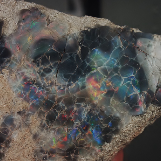 Cabinet Size Colorful Queensland Black Opal Matrix Specimen  Litnon.com