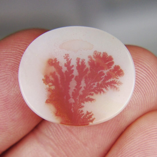  Rare Red Color Dendritic Agate India 24 x 21 mm  Litnon.com