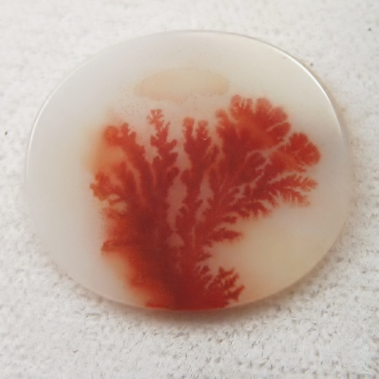  Rare Red Color Dendritic Agate India 24 x 21 mm  Litnon.com